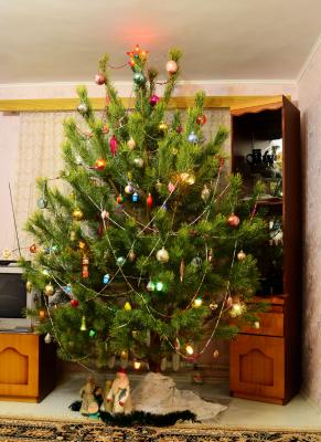 Прикрепленное изображение: Ёлка.jpg